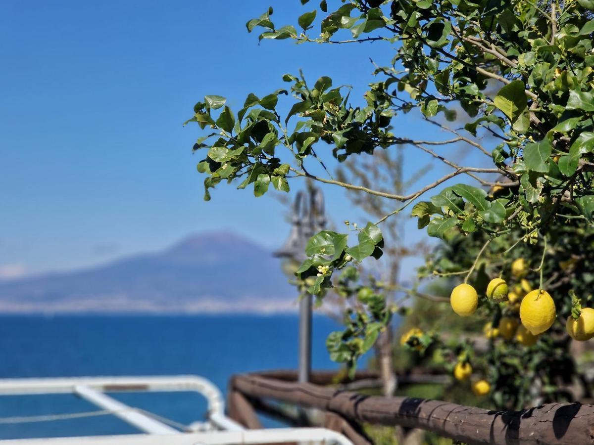 Vico Di Mare Apartment Vico Equense Bagian luar foto